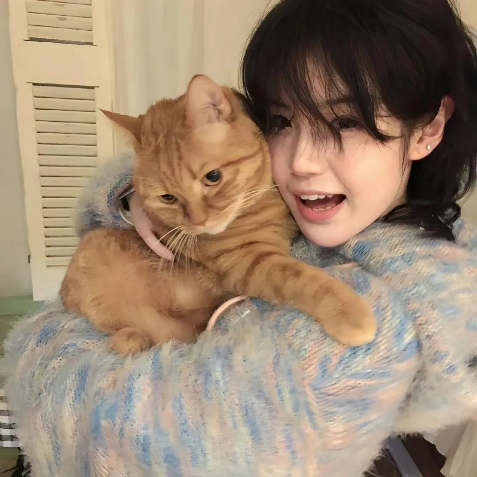 总裁夫人整顿娱乐圈